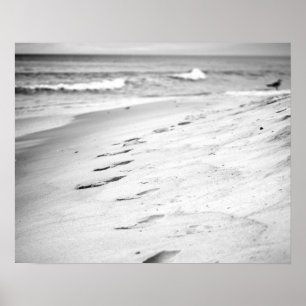 Svartvita avtryck i Beach Sand 16 x 20 Poster