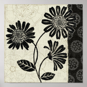 Svartvita blommor 2 poster