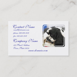 Svartvita cockerspanielSpanielvisitkortar Visitkort