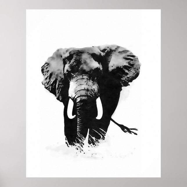 Svartvita elefantaffischer poster (Framsidan)