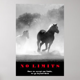 Svartvita hästar Motivational No Limits Artwork Poster