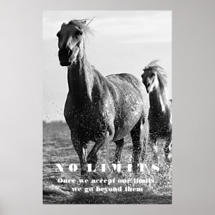 Svartvita hästar Motivational No Limits Artwork Poster