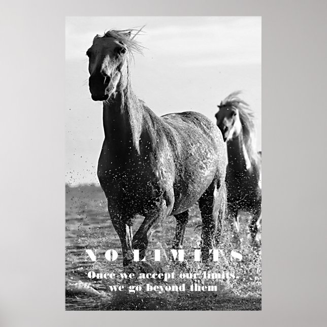 Svartvita hästar Motivational No Limits Artwork Poster (Framsidan)