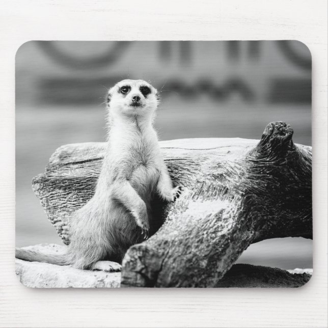 Svartvita Meerkat på ett träd Musmatta (Framsidan)