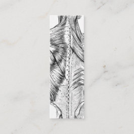 Svartvita muskler för anatomikonstbaksida (1890) mini visitkort