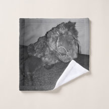 (Svartvita) Polorys hund,