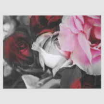 Svartvita ro bleknar