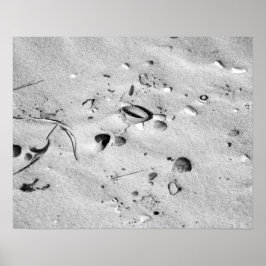 Svartvita segeler i Sand 16 x 20 Poster