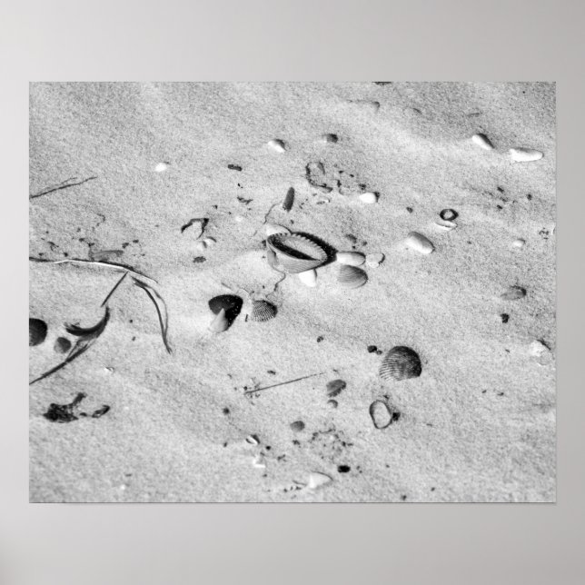 Svartvita segeler i Sand 16 x 20 Poster (Framsidan)