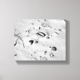 Svartvita segeler i Sand 8x10 Canvastryck