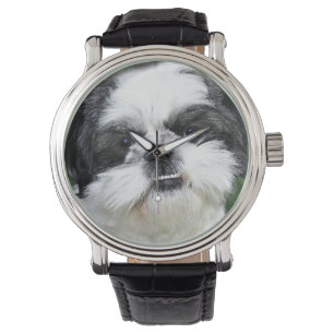 Svartvita Shih Tzu Armbandsur