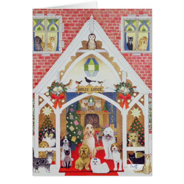 Svartvita whiskers hälsningskort (Framsidan)