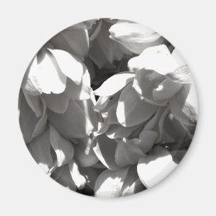 svartvita yuccalillies magnet