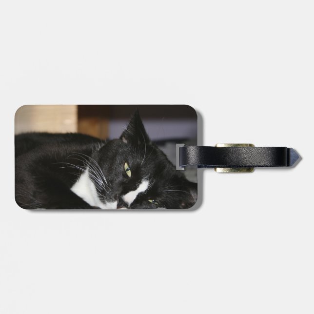 svartvitt besegrar ljuga för smokingkatt ett öppet bagagebricka (Baksida Vågrät)