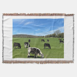 Svartvitt bete i Fält-vrister för omgivande kugghj Filt