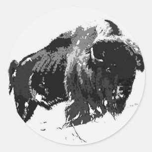 Svartvitt Bison/Buffalo Runt Klistermärke