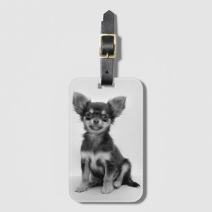 Svartvitt Chihuahuavalpfoto Bagagebricka