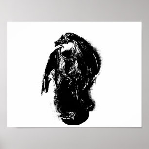 Svartvitt Dragon Poster