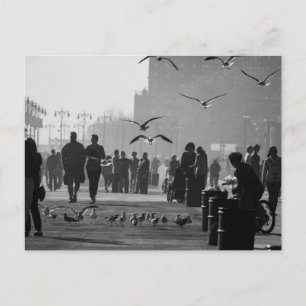 Svartvitt foto av Coneyöboardwalken Vykort