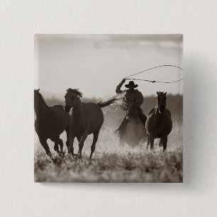 Svartvitt foto av en CowboyLassoing hästar Knapp