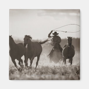 Svartvitt foto av en CowboyLassoing hästar Magnet