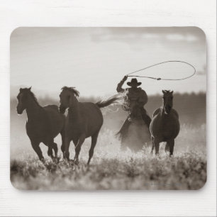 Svartvitt foto av en CowboyLassoing hästar Musmatta