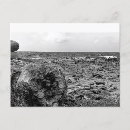 Svartvitt, fotografi, vykort av standardtyp