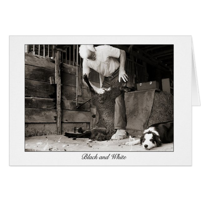 svartvitt hälsningskort (Framsidan Horizontal)