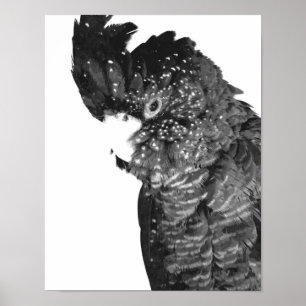 Svartvitt kakaduaporträtt poster