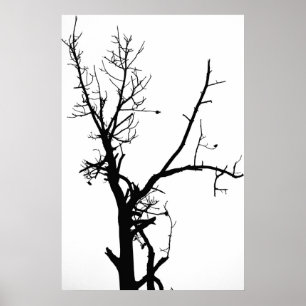 Svartvitt kalt träd poster