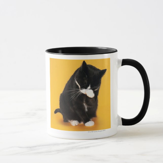 Svartvitt kattlokalvårdansikte med tassen mugg (Höger)