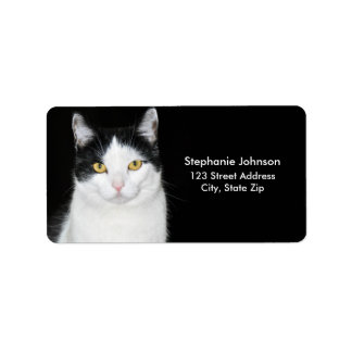 Svartvitt kattporträtt adressetikett