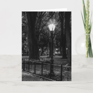 Svartvitt landskap fotoet av Central Park Kort