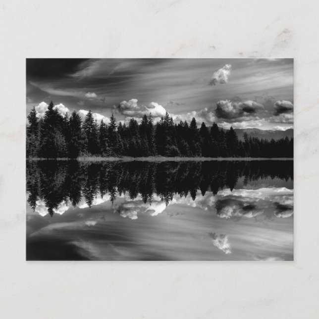 Svartvitt reflektionskort vykort (Framsida)