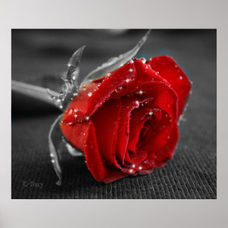 Svartvitt/rött Poster
