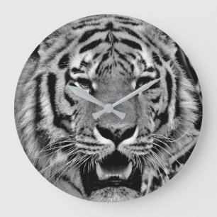 Svartvitt tigeransikte stor klocka