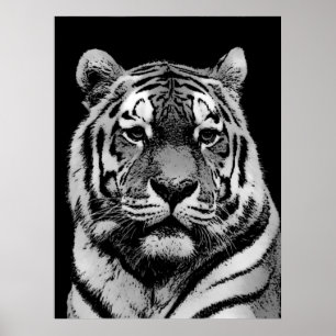 Svartvitt tigern Poster Skriv ut - popup-Stil