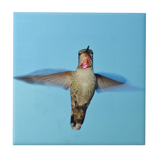 Sväva för Hummingbird Kakelplatta (Framsidan)