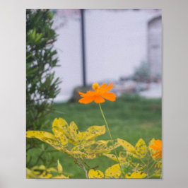 Svavel Cosmos 03 Poster