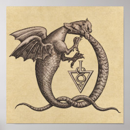 Svavel och kvicksilver Alchemy Dragon Symbol Poster