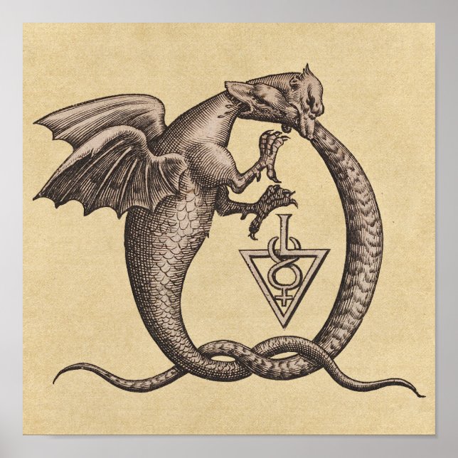 Svavel och kvicksilver Alchemy Dragon Symbol Poster (Framsidan)