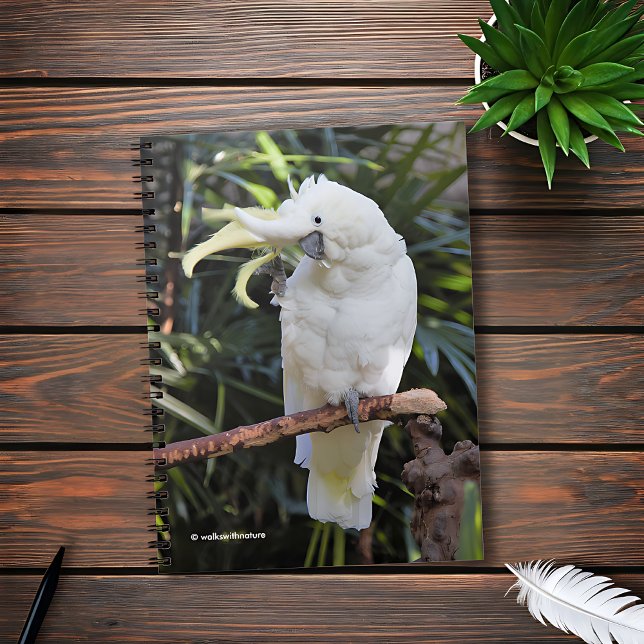 Svavelbelagt ockatoo Vågar på fotografen Anteckningsbok (Friendly Sulfur-Crested Cockatoo Waves at the Photographer Journal Cover Photo)