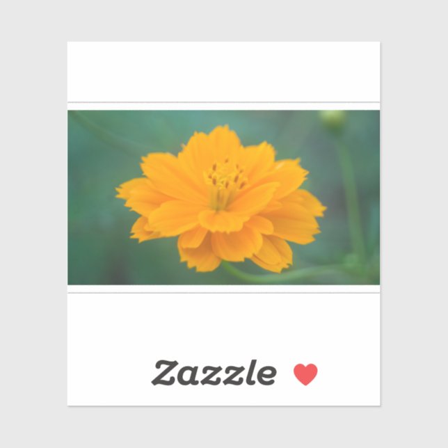 Svavelcosmos 02 klistermärken (Ark)