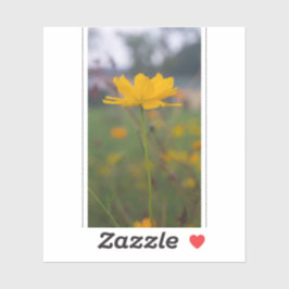 Svavelkosmos 05 klistermärken