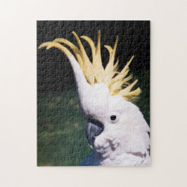 Svavelstrupig Cockatoo Puzzle Pussel