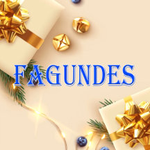 Fagundes_Name T-Shirt