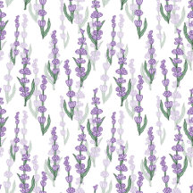 Lavender field provence purple flower