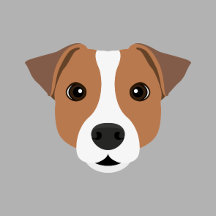Jack Russell