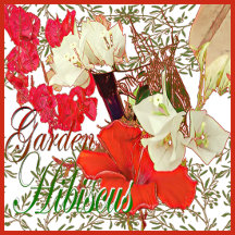 Garden Hibiscus Blooms Gift Collection   Artwork