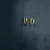 pdinternational